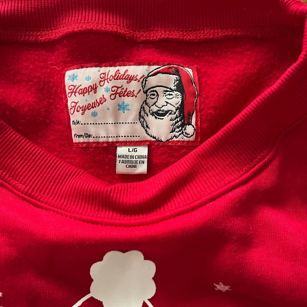 Joyful Red Holiday Sweater